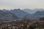 In CANTO ALTO (1146 m) da casa (Zogno, 310 m) ad anello (3mar21) - FOTOGALLERY